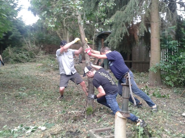 Several trees had to be taken out so that it was not so dark