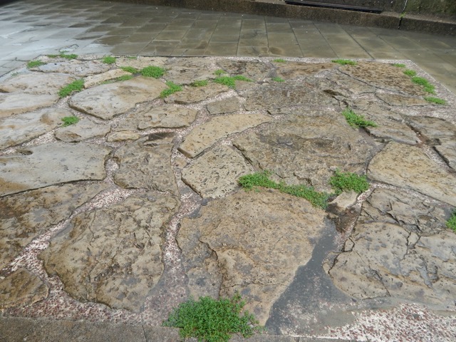 Roman Road in Trier - they don't make roads that last like that anymore