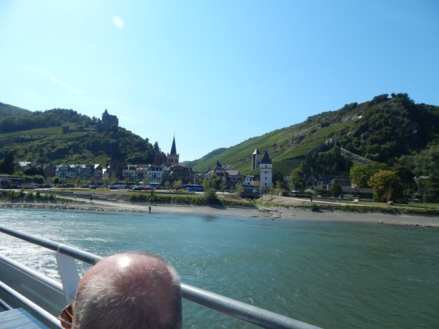 Vineyards, Towns and Castles along the Rhine River