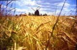 Stederdorf Windmill 97 Kopie